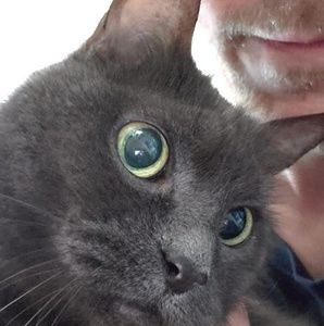 Meet your Posher, Caleb